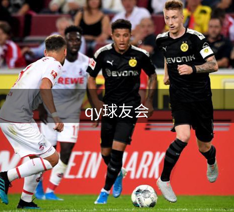 了解qy球友会
